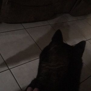 Meet your Posher, Courtney